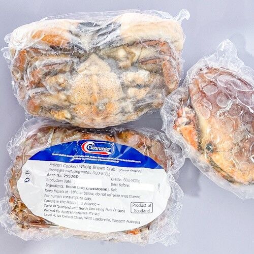 Brown Crab