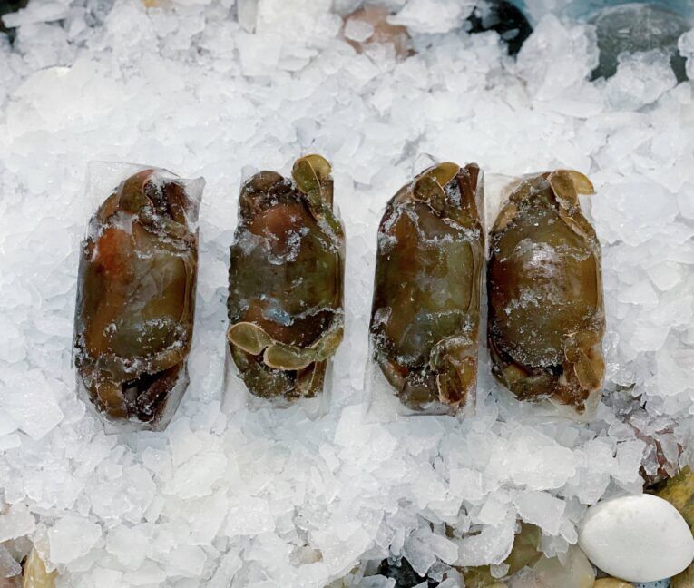 Soft Shell Crab