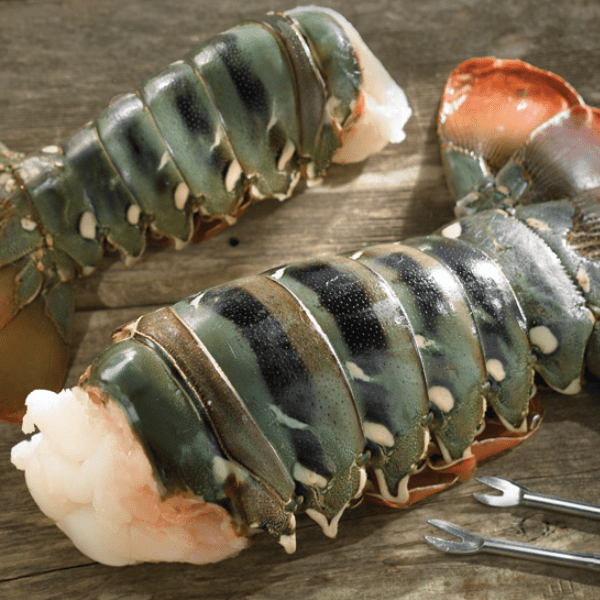 australian lobster tails
